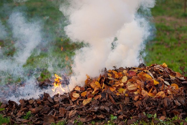 Жителям области напомнили о запрете сжигания листьев