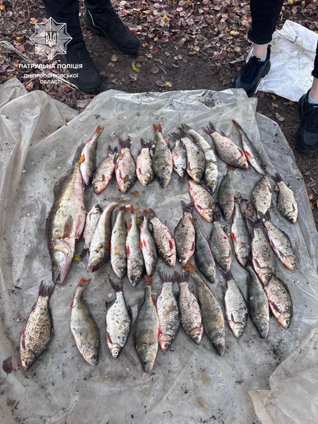 Водный патруль обнаружил граждан, ловивших рыбу запрещенными орудиями лова