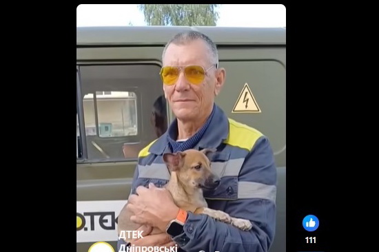 Дніпровські енергетики врятували покинутого песика