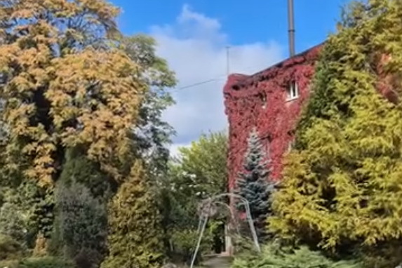 Ботсад зовет днепрян полюбоваться своей осенней красотой в субботу