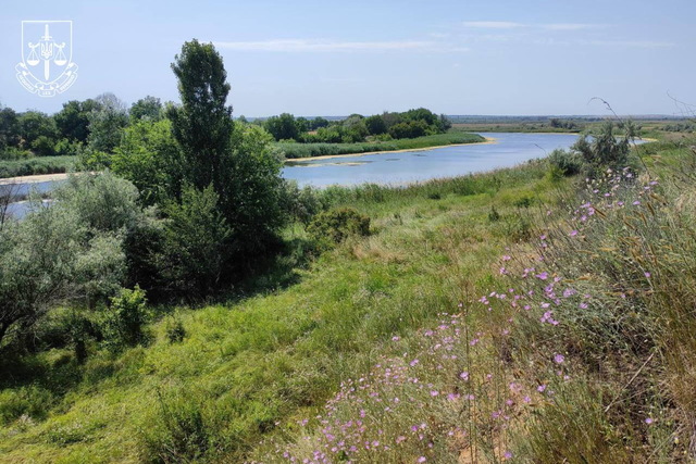 На Днепропетровщине хотели распахать земли заказника с исчезающими видами растений