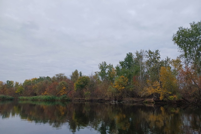 Фахівці досліджують рідкісних мешканців Орельського заповідника