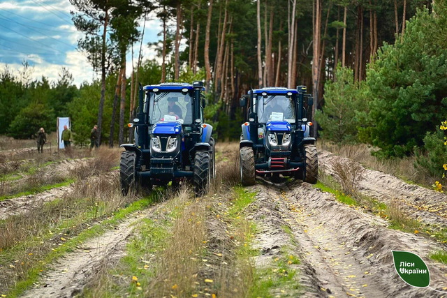 На Дніпропетровщині відновлюють ліси після пожеж