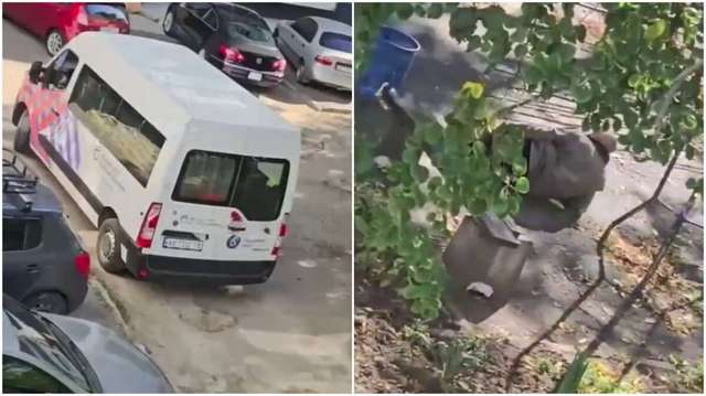 � ������ ��������� �������� � ���, ��� ����� �������� ���������� ������� �� �����: ��� ��������� �� ����� ����