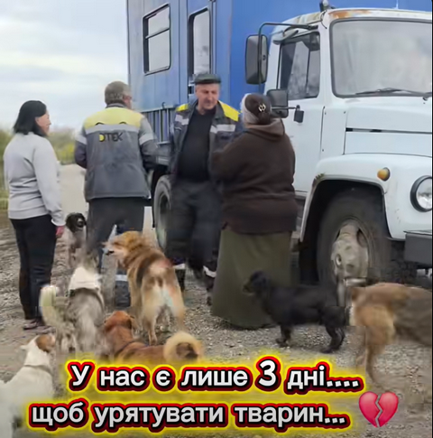 �������� ������ ������ �������� �� ��� ����������
