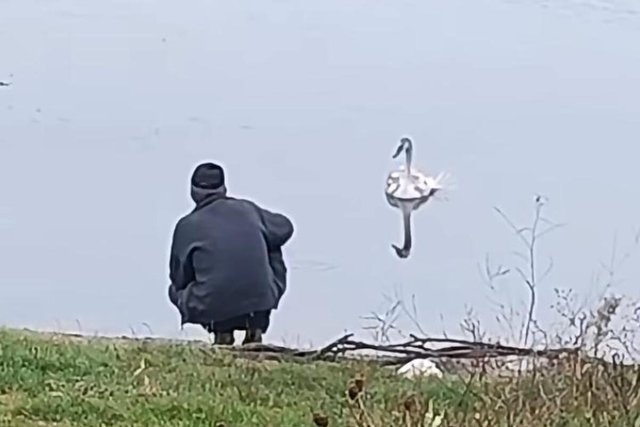 ��� ������ ���� ������: � ������ ���� ������ �������� ������ 