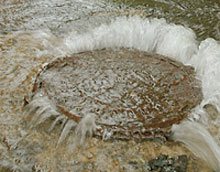 ��� �������������� ��������� ���� � ������� ����