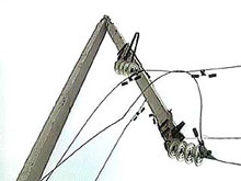 ���������������� ����� ����������: � ������� 30 �����������