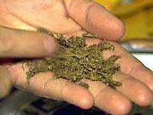 � ������ ���� ���������� ������ ������� �������