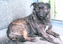 �������� ���� ������� � ���� ���