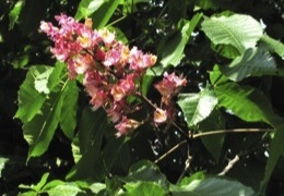 ����� ����� ������� ������� ������� �������