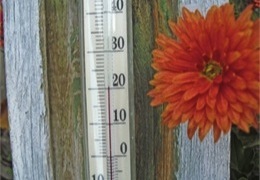 �� ���� ������ � ������ - ��������� �������! 