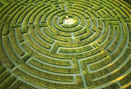 ��� ������� � ��� ������?