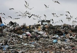 � ������� �������� 10 ���������������������� �������