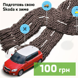 Подготовь свою Skoda к зиме за 100 грн.