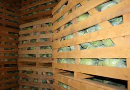 �������������� ����� ����� ������������ ������� ������ � ����������� ��������������