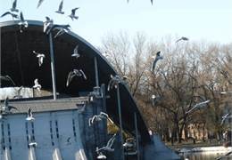 � ����� ����� ����� �������� ����