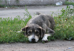 ����������� ����������� �� �������������� �� ������ ������ � 2013 ����