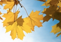 �������� ��������: �� ������� ����� ������� ����� ������������� ������