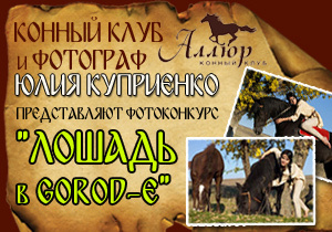�����������: ������ � Gorod-�!