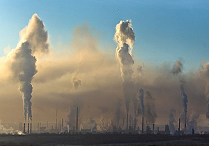 � ���������������� ������������ �������� �� ����������� ��������������� ����������� �� ������������ ������