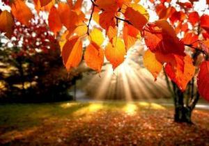 � ��������������� � ����� ������ ��������� ����������