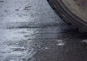 � ��������������� ���������� ������ ����