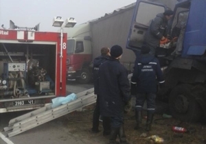 � ���������������� ������� � ������ ����������� ���� �����������: ����� ��������