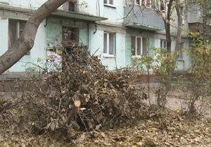 ��� � ��������������� � �� ��� �� ����������