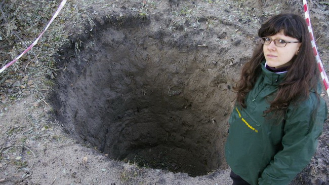 � ��������� �� ���� ������ ������ ������������� �������� �������