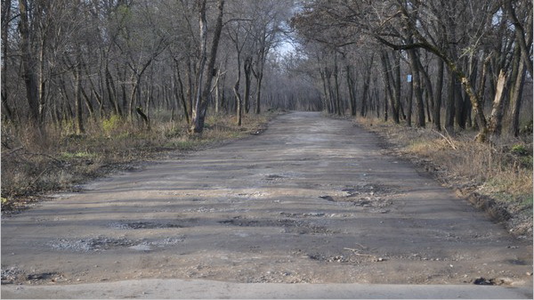 � ���������  ����������� ������ ����� 55 ������� � ���. ���������