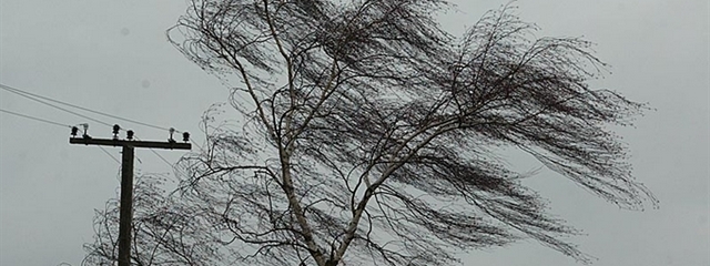 � ������ �������� ��������� ��������������