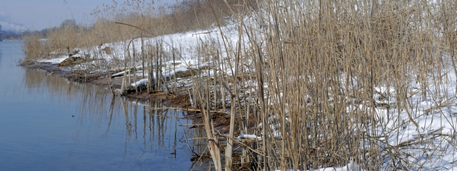 � ������ �� ������ ������������ ������ ����� ���� �������