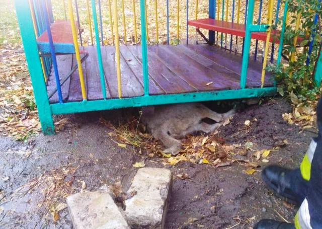 � ������ ��������� ������� ������, ���������� �� ������� ��������