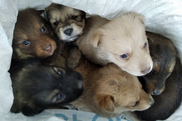 � ������ �������� � ���� ����� ����� �� �������