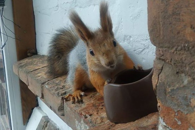 � ����� �� ������ ������ ����� ����� �� ����� �����