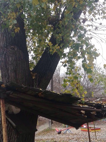 � ������ ������������� ���������� ������� ������������ ������ ��������