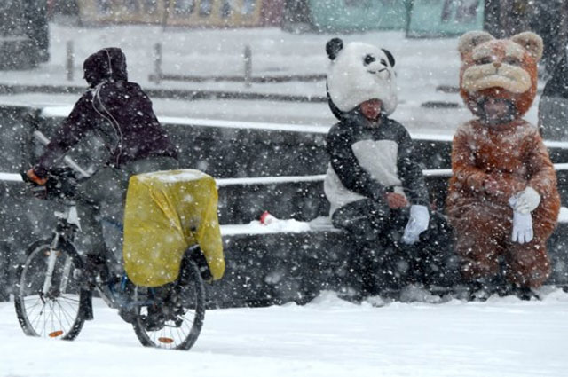 ���� ����� � 