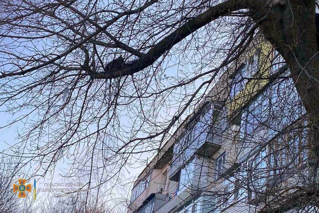 � ����� �� ������ ������� ������������ ����� ���� � ������