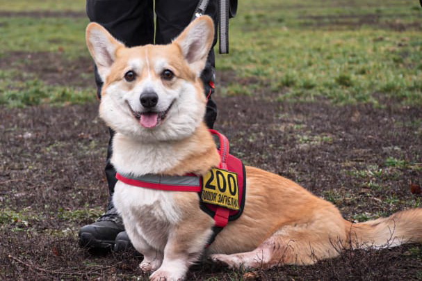 �� �������������� ������������� �������� �������� ��������