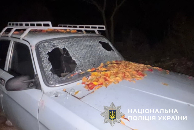 �� ���������������� �������� ���������� ���������: � ������� ��������� ����������������� �������