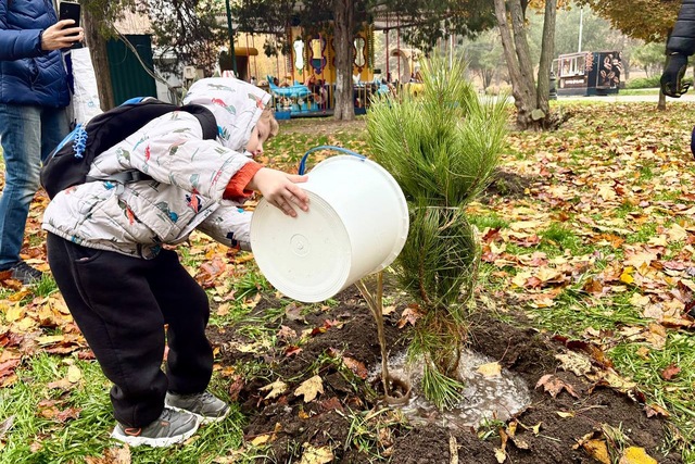У парку Глоби посадили сосни та горобини