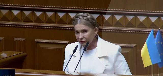 «Батьківщина» – єдина не підтримала принизливий закон про цифровізацію виконавчих проваджень