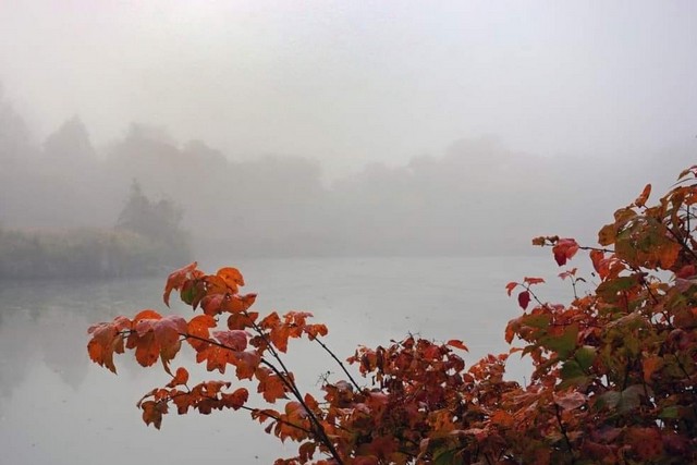 ілюстративне фото з відкритих джерел Дощі та тумани: прогноз погоди на тиждень по Дніпропетровщині