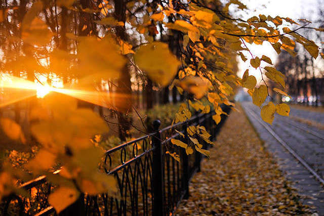ілюстративне фото з відкритих джерел В суботу на Дніпропетровщині опадів не передбачається, мінлива хмарність