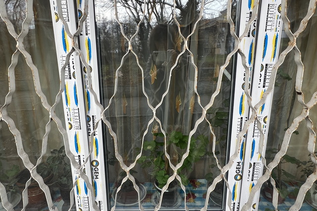 В ДНУ имени Гончара показали свои «несокрушимые» окна