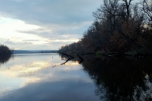На Дніпропетровщину масово вторглися північні мігранти