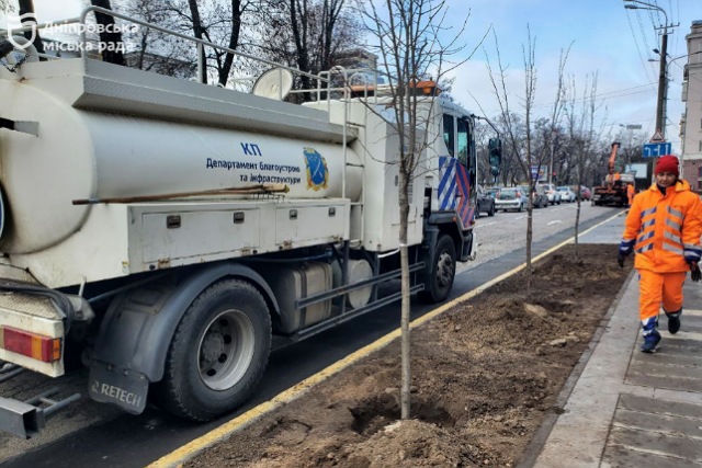 13 нових лип прикрасили безбар’єрний маршрут на проспекті Яворницького