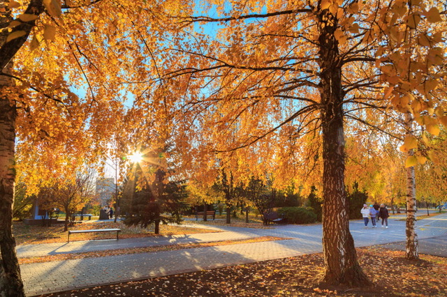 Погода у Дніпрі побила черговий температурний рекорд