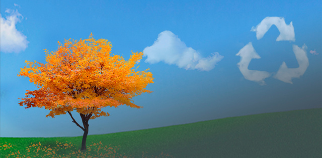 На Дніпропетровщині визначили громади, які лідирують у впровадженні екологічних ініціатив